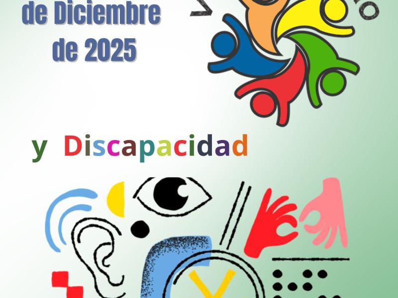 discapacidad y voluntariado