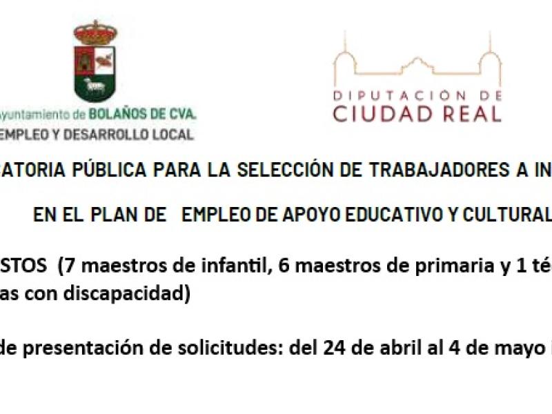 maestros escuela verano